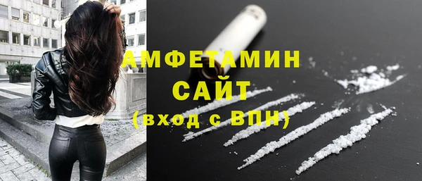прущие грибы Беломорск
