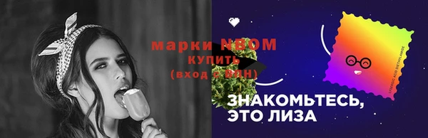 прущие грибы Беломорск