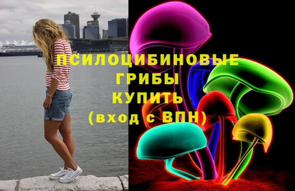 СК Белокуриха