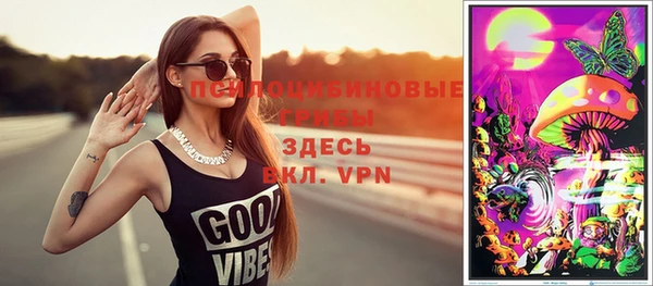 СК Белокуриха