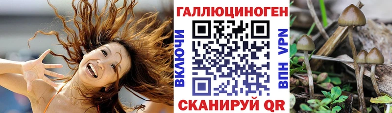 mega сайт продажа наркотиков Воскресенск Галлюциногенные грибы мицелий