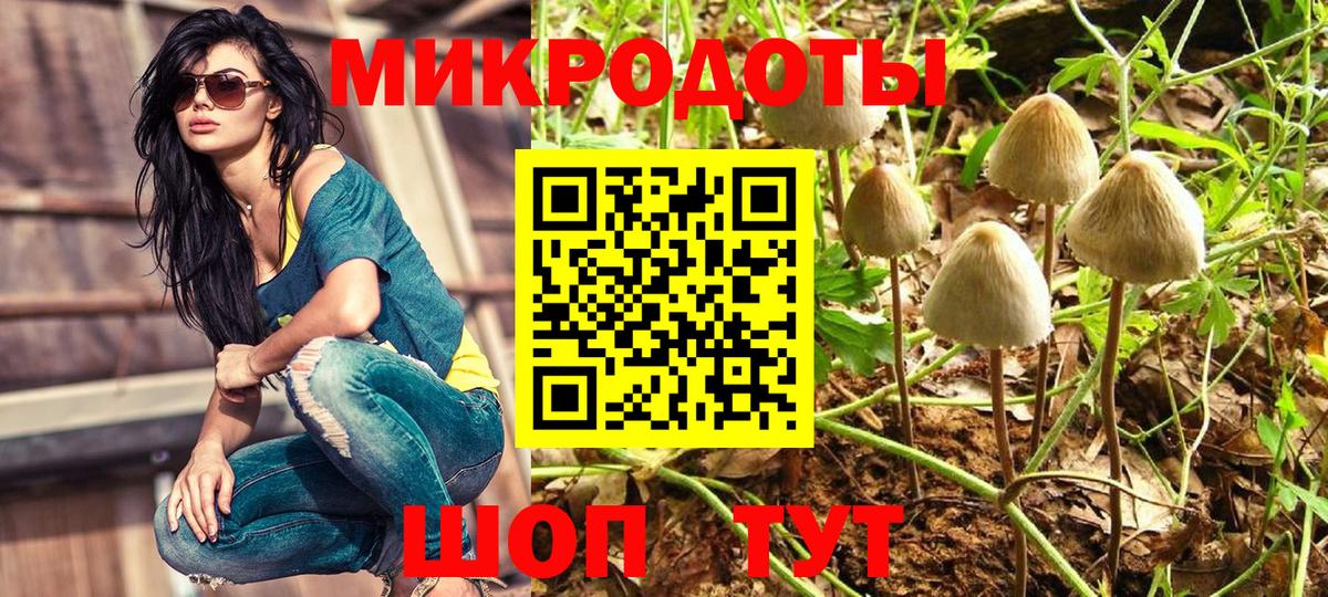 Галлюциногенные грибы Cubensis  Псилоцибиновые грибы мицелий  Воскресенск  Вход с VPN 